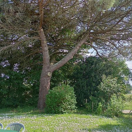 Gite Du Petit Gue Frossay Номер фото
